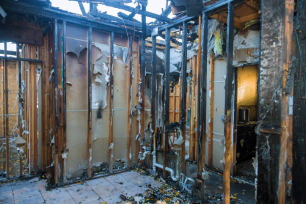 Professional Fire Damage Removal technician working in Redwood, TX